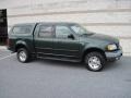 2001 Dark Highland Green Metallic Ford F150 XLT SuperCrew 4x4  photo #1