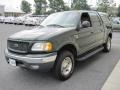 2001 Dark Highland Green Metallic Ford F150 XLT SuperCrew 4x4  photo #3