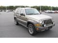 2006 Light Khaki Metallic Jeep Liberty Renegade 4x4  photo #6