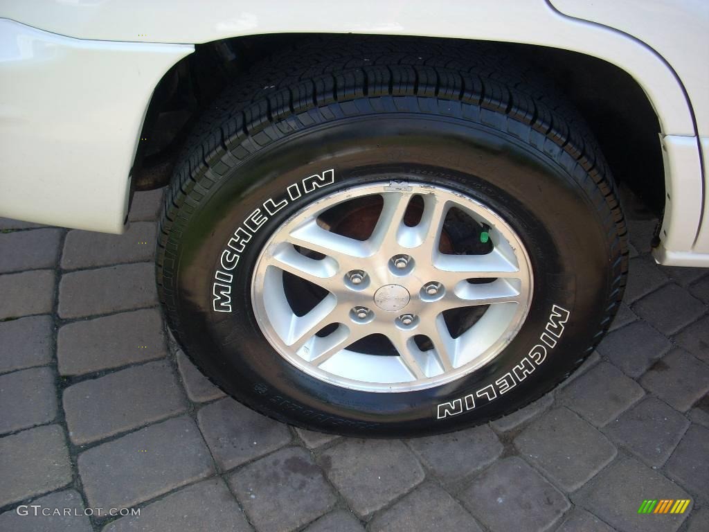 2004 Grand Cherokee Special Edition 4x4 - Stone White / Dark Slate Gray photo #6