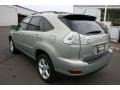 2004 Bamboo Pearl Lexus RX 330 AWD  photo #7