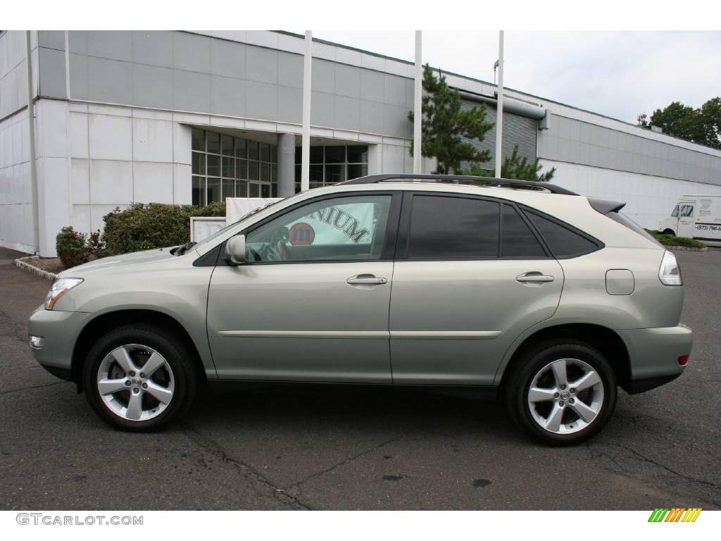 2004 RX 330 AWD - Bamboo Pearl / Ivory photo #8