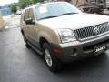 Light French Silk Metallic - Mountaineer Convenience AWD Photo No. 4
