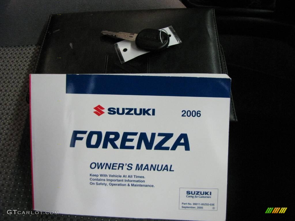 2006 Forenza Wagon - Champagne Beige Metallic / Grey photo #19