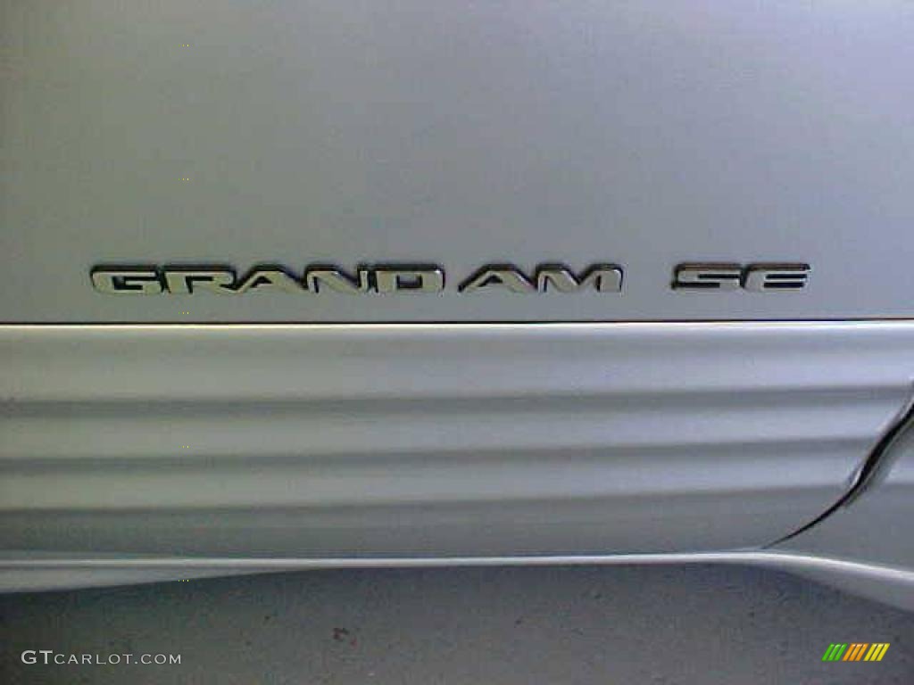 2002 Grand Am SE Sedan - Galaxy Silver Metallic / Dark Pewter photo #6