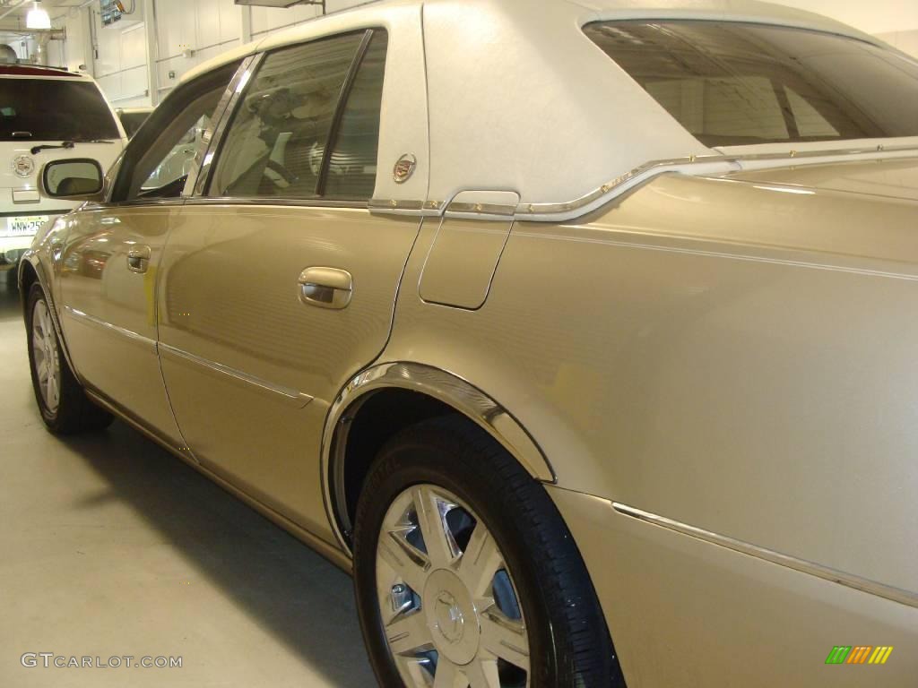 2006 DTS Luxury - Radiant Bronze Metallic / Cashmere photo #8
