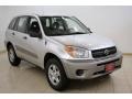 Titanium Metallic - RAV4 4WD Photo No. 1