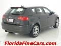 Lava Grey Pearl - A3 2.0T Photo No. 2