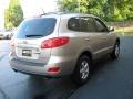 2007 Golden Beige Hyundai Santa Fe GLS  photo #5