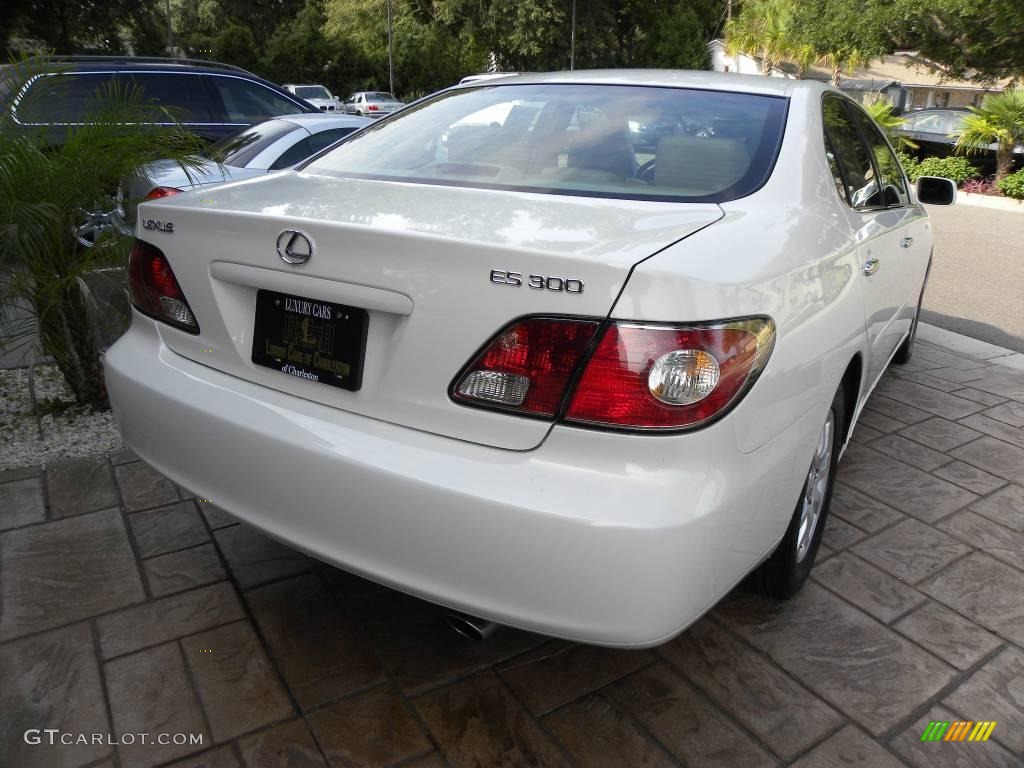 2002 ES 300 - Crystal White / Ivory photo #13
