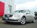 Liquid Silver Metallic - Maxima 3.5 SE Photo No. 4