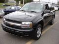 Black - TrailBlazer LS 4x4 Photo No. 1