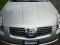 Liquid Silver Metallic - Maxima 3.5 SE Photo No. 15