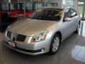 Liquid Silver Metallic - Maxima 3.5 SL Photo No. 1