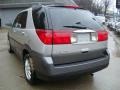 Platinum Metallic - Rendezvous CX AWD Photo No. 4