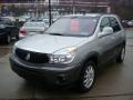 Platinum Metallic - Rendezvous CX AWD Photo No. 5