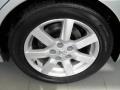 Liquid Silver Metallic - Maxima 3.5 SL Photo No. 35
