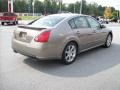 Pebble Beach Metallic - Maxima 3.5 SE Photo No. 6