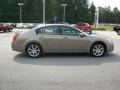 2008 Pebble Beach Metallic Nissan Maxima 3.5 SE  photo #7