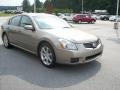 Pebble Beach Metallic - Maxima 3.5 SE Photo No. 8