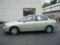 2003 Platinum Green Metallic Hyundai Elantra GLS Sedan  photo #1