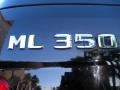 Black - ML 350 4Matic Photo No. 9
