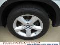 Alpine White - X5 3.0si Photo No. 12