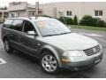 2003 Fresco Green Metallic Volkswagen Passat GLX Wagon  photo #3