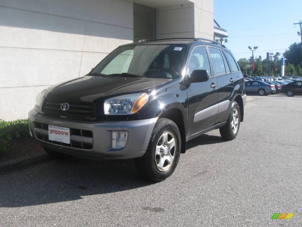 2003 RAV4 4WD - Black / Gray photo #1