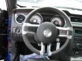 2010 Kona Blue Metallic Ford Mustang GT Premium Coupe  photo #22