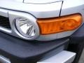 Titanium Metallic - FJ Cruiser  Photo No. 10