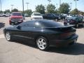 Black - Firebird Trans Am WS-6 Coupe Photo No. 4