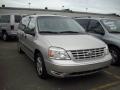 2006 Silver Birch Metallic Ford Freestar SE  photo #3