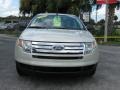 2007 Light Sage Metallic Ford Edge SE  photo #8