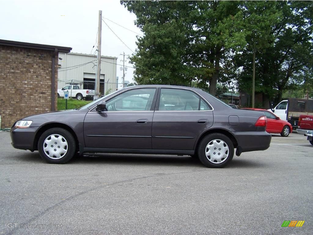 1999 Accord LX Sedan - Raisin Pearl / Gray photo #3