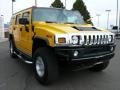 Yellow - H2 SUV Photo No. 4
