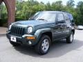 2002 Shale Green Metallic Jeep Liberty Limited 4x4  photo #1
