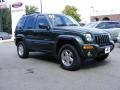 2002 Shale Green Metallic Jeep Liberty Limited 4x4  photo #2