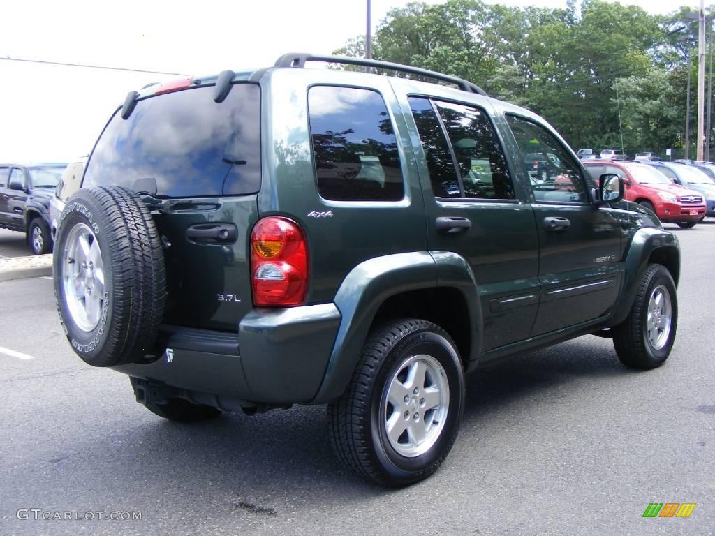 2002 Liberty Limited 4x4 - Shale Green Metallic / Taupe photo #3