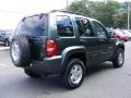 2002 Shale Green Metallic Jeep Liberty Limited 4x4  photo #3