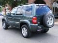2002 Shale Green Metallic Jeep Liberty Limited 4x4  photo #4