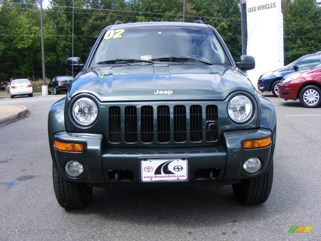 2002 Liberty Limited 4x4 - Shale Green Metallic / Taupe photo #16