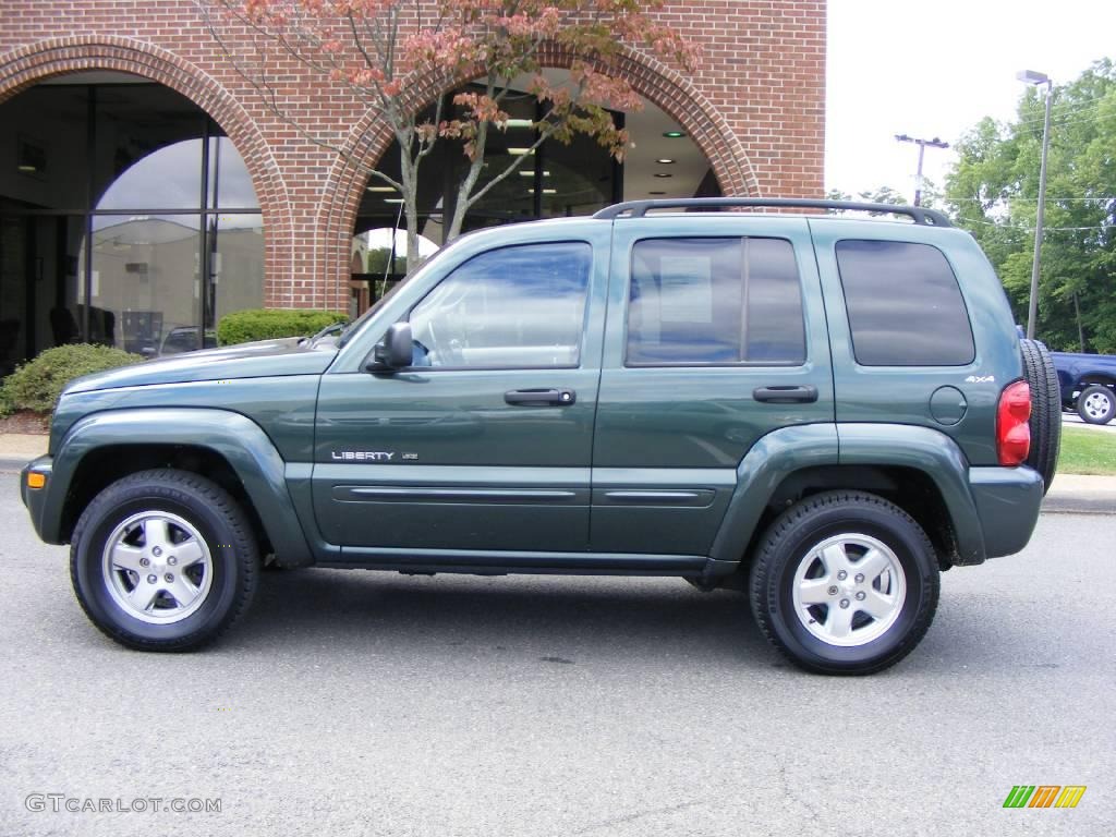 2002 Liberty Limited 4x4 - Shale Green Metallic / Taupe photo #17