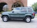 2002 Shale Green Metallic Jeep Liberty Limited 4x4  photo #17