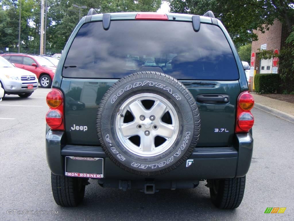 2002 Liberty Limited 4x4 - Shale Green Metallic / Taupe photo #18