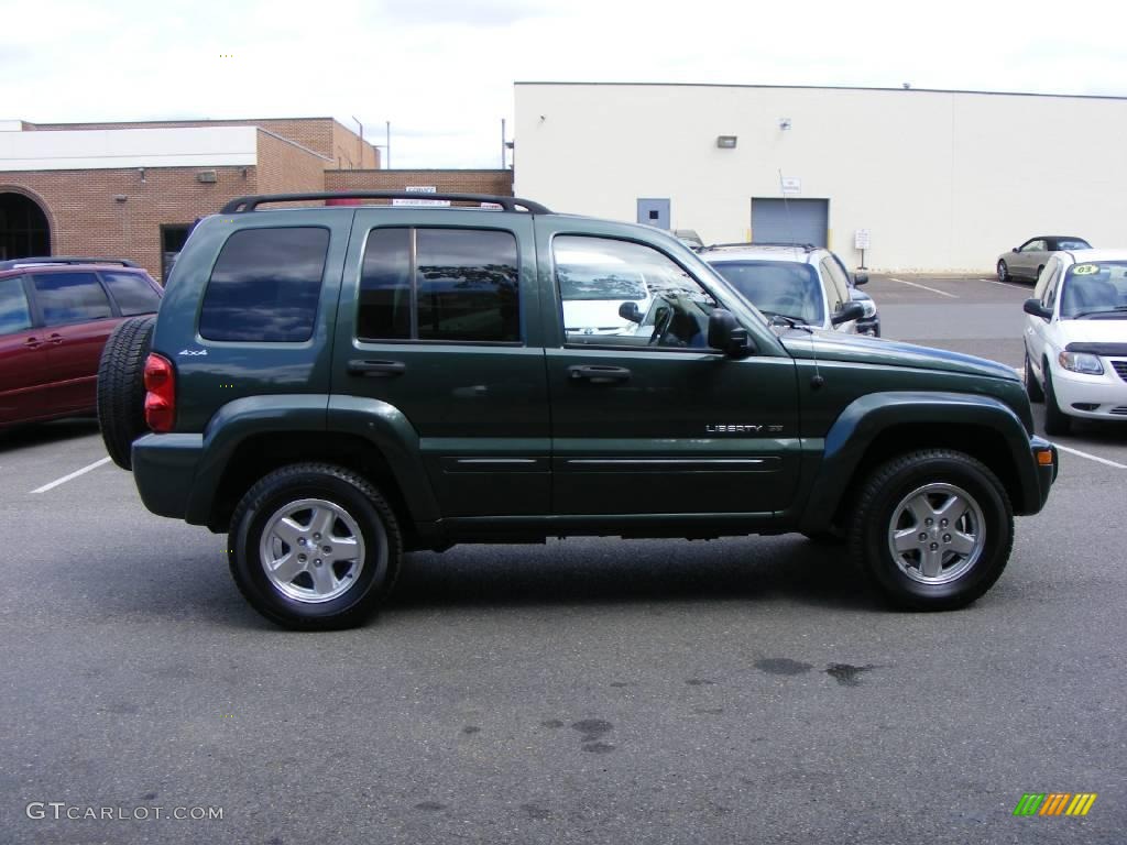2002 Liberty Limited 4x4 - Shale Green Metallic / Taupe photo #19