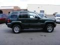 2002 Shale Green Metallic Jeep Liberty Limited 4x4  photo #19
