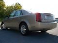 Sand Storm - CTS Sedan Photo No. 4