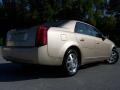 Sand Storm - CTS Sedan Photo No. 7