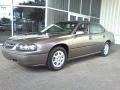 Bronzemist Metallic - Impala  Photo No. 18